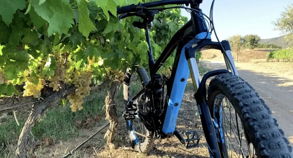 Giro in bici elettrica, degustazione di vino in Maremma — Castiglione della Pescaia