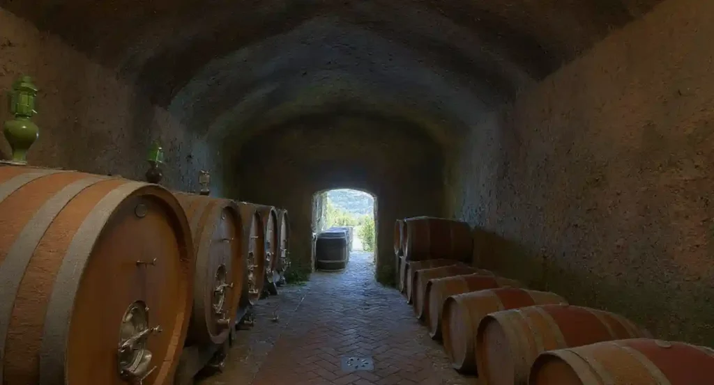 Degustación de vinos volcánicos exclusivos en la Maremma — Sovana