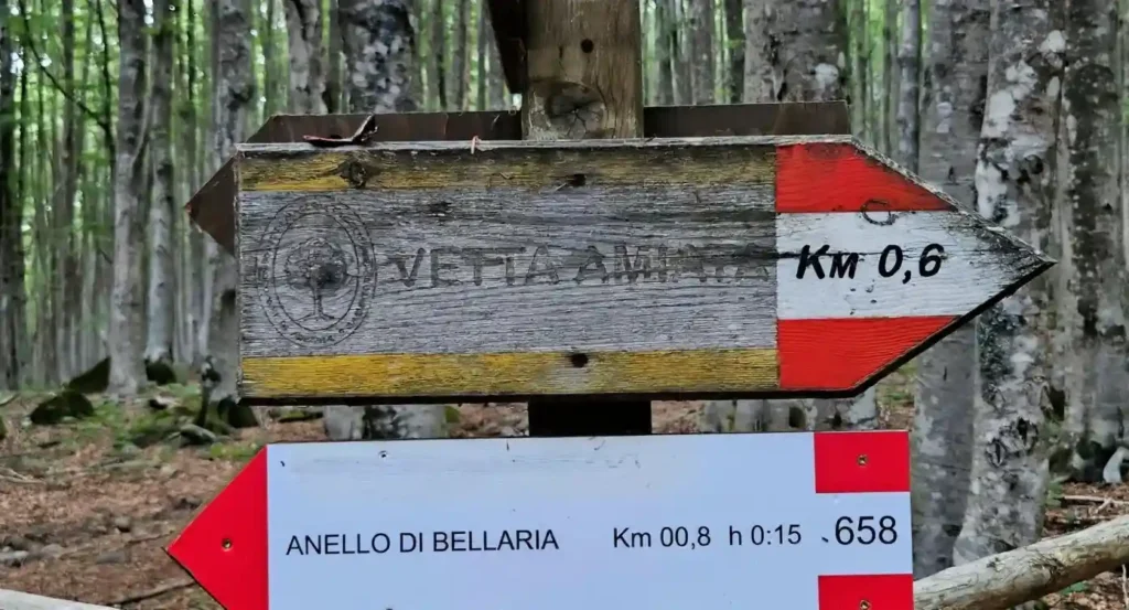 Hiking on Mount Amiata with Controsole Trekking — Mount Amiata