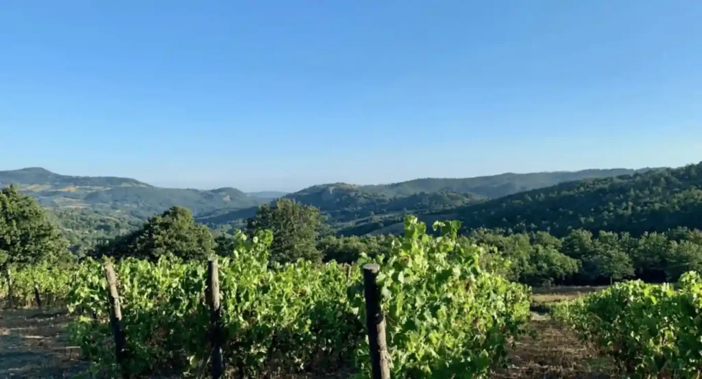 Biologische wijnen, Toscaanse lekkernijen en het middeleeuwse dorp Roccalbegna — Roccalbegna