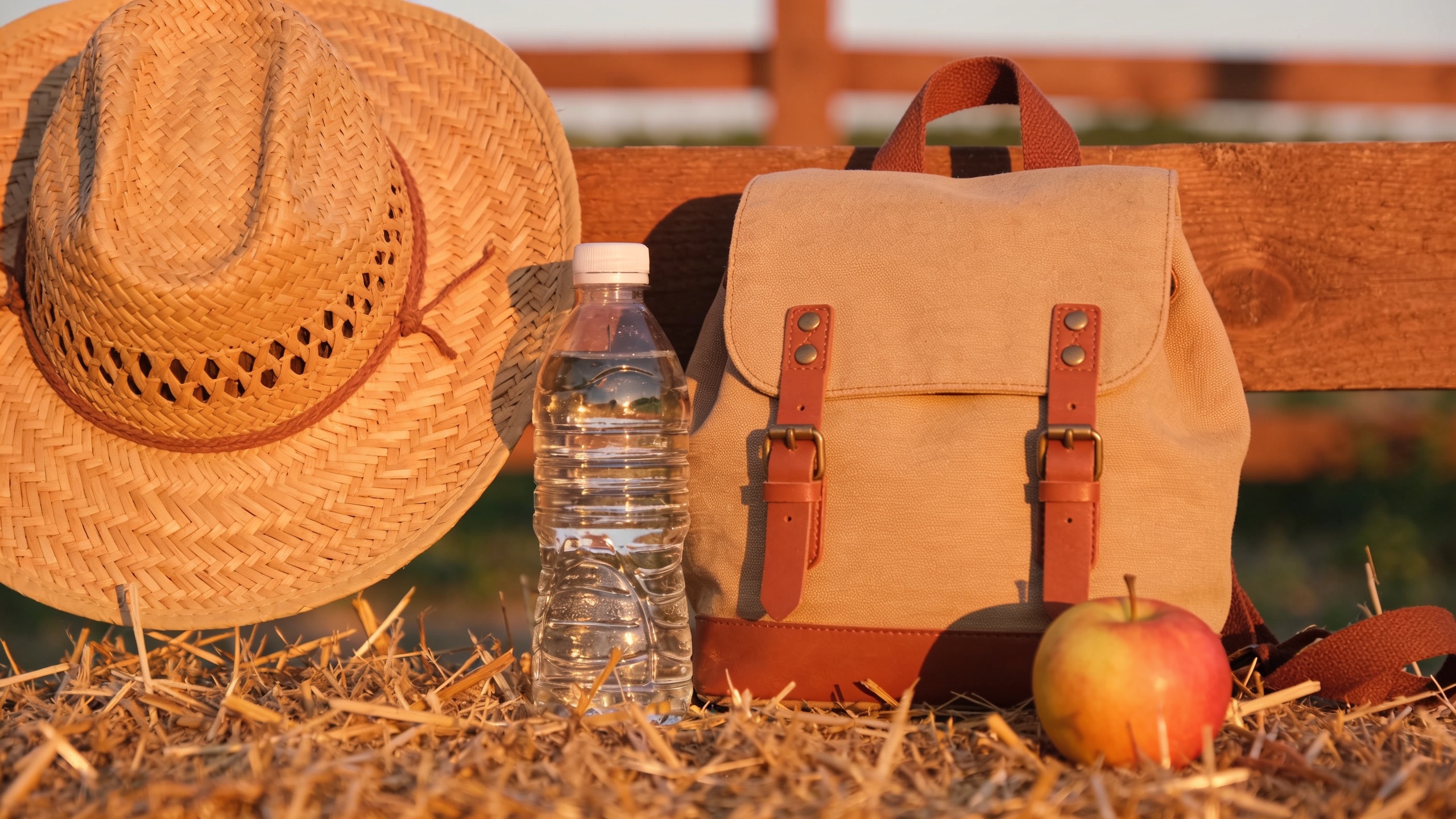 Composição de essenciais de viagem para uma visita a uma fazenda: chapéu, garrafa de água, pequena mochila, sobre fundo de palha e madeira