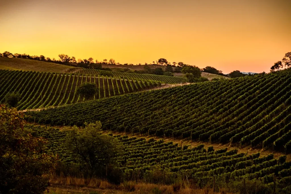 Aperitief bij zonsondergang, Località Sterpeti — Località Sterpeti