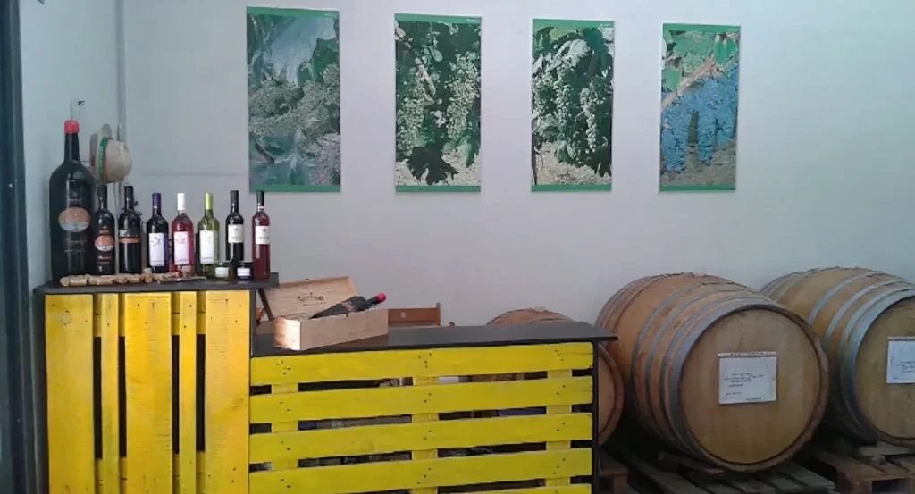 Descoberta sensorial dos vinhos da Maremma Toscana — Manciano