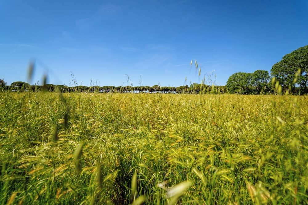 Agriturismo Bio Femminella — Grosseto, Maremma Toscana