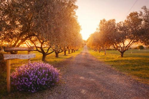 Agriturismo il Podere del Sole — Pescia Romana, Maremme Toscane