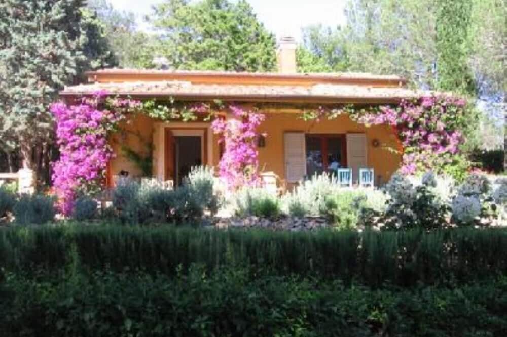 House with garden on hill