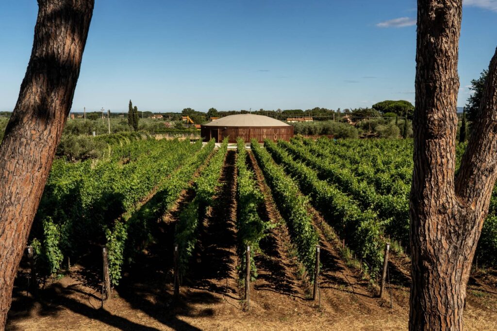 Campo Alle Comete — Castagneto Carducci