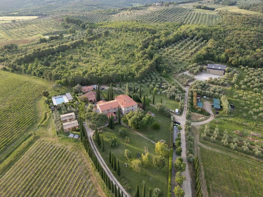 Discover and taste: Tour and wine tasting at the Muralia winery in Maremma — Roccastrada