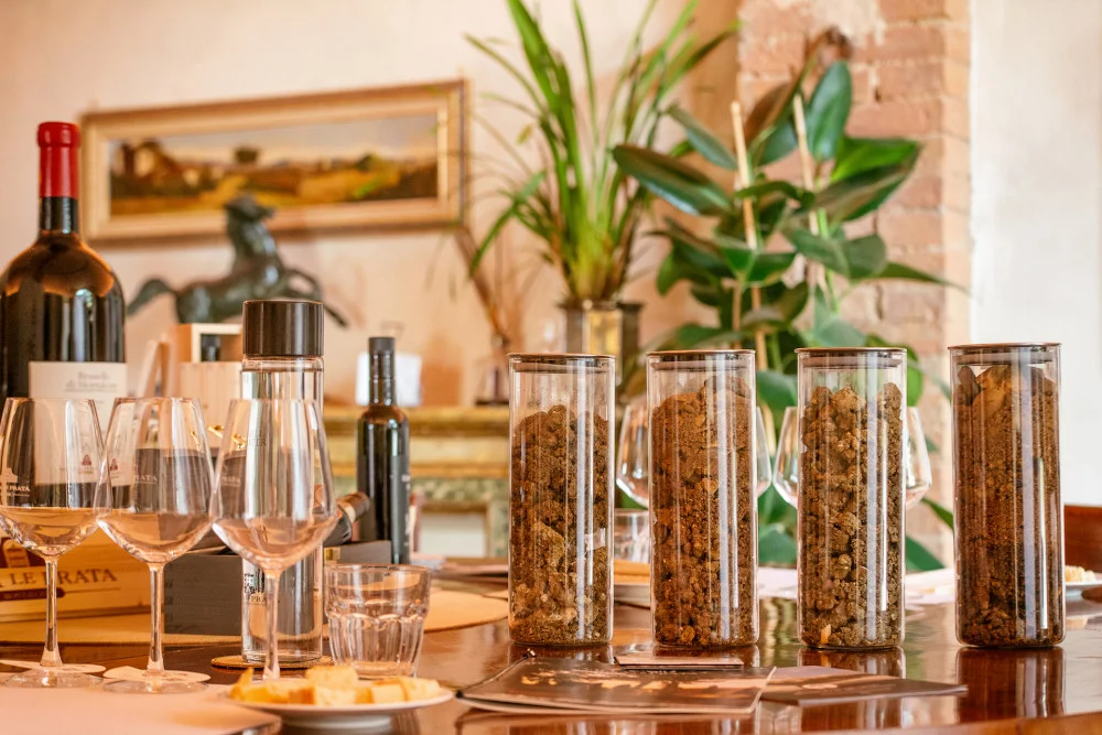 Degustazione conviviale alla Villa Le Prata a Montalcino — Montalcino