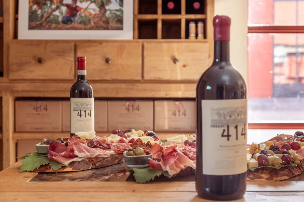 Degustación de vino biológico en el Podere 414 en la Toscana — Magliano in Toscana