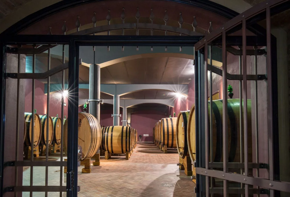 Degustazione di vino classica e visita della cantina a Caprili a Montalcino — Montalcino