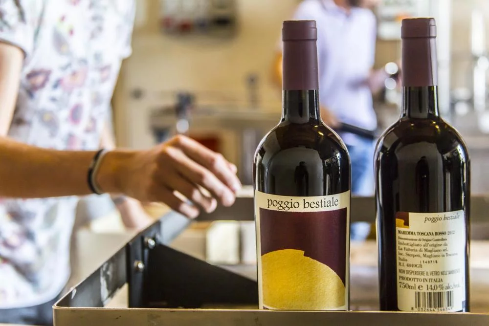 Klasyczna degustacja wina w Fattoria di Magliano w Maremmie — Magliano in Toscana