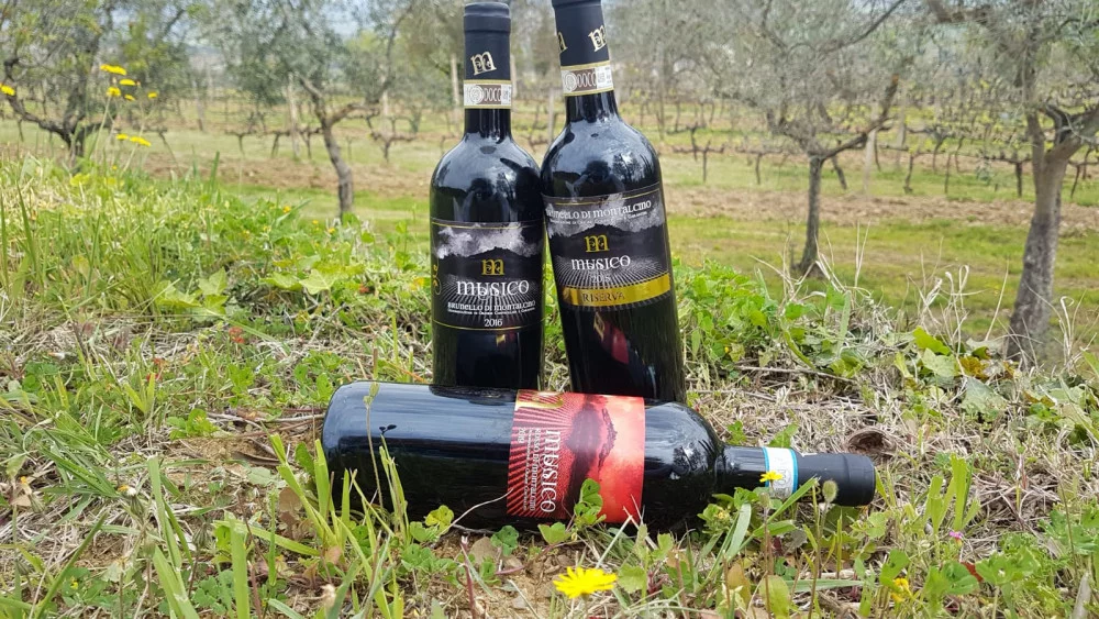 Goldene Weinverkostung im Weinkeller Musico in Montalcino — Montalcino