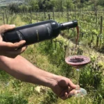 Weinverkostung in der Toskana: Geschmack und Tradition im Weinkeller Gramineta