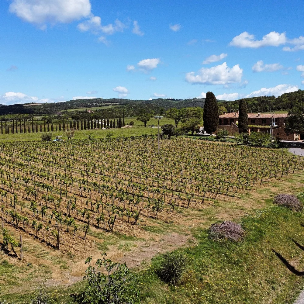 Vertikale Weinverkostung und Kellereibesuch bei Caprili in Montalcino — Montalcino