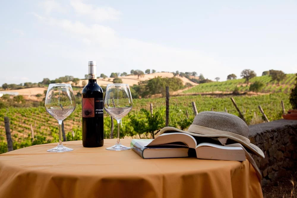Weinprobe im Podere Casina, im Herzen der Maremma — Scansano