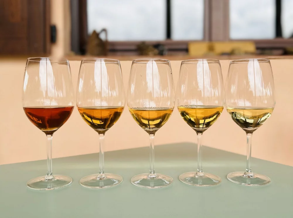 Prova de vinhos brancos toscanos na cave biológica de Sassotondo, na Maremma — Sorano