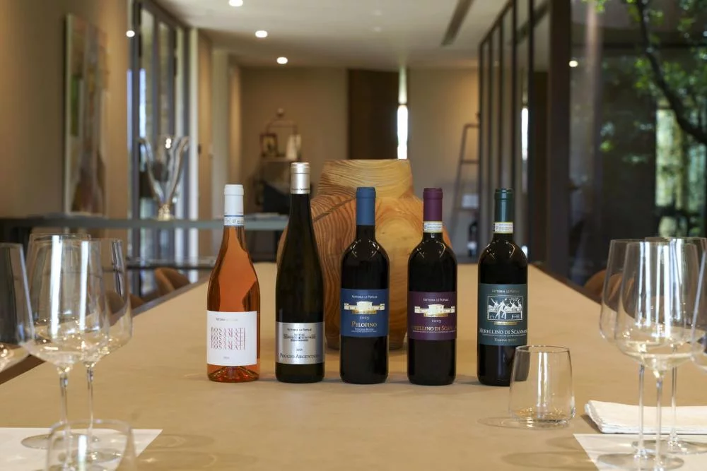 Proeverij van klassieke wijnen bij Fattoria Le Pupille, in de Maremma — Provincie Grosseto