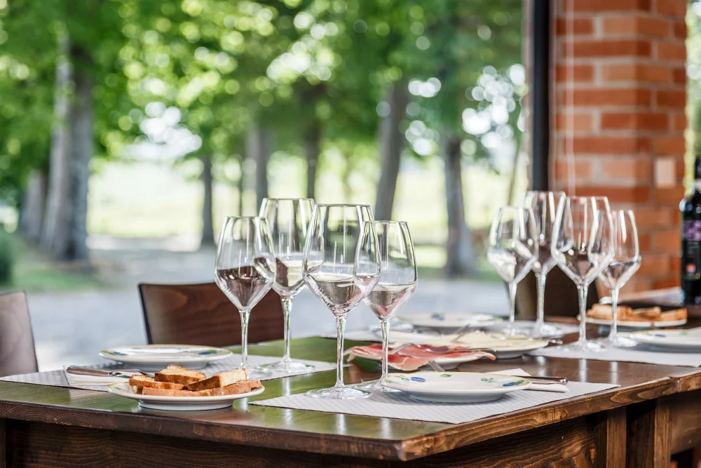 Degustación de vinos esenciales de Acquaviva — Manciano
