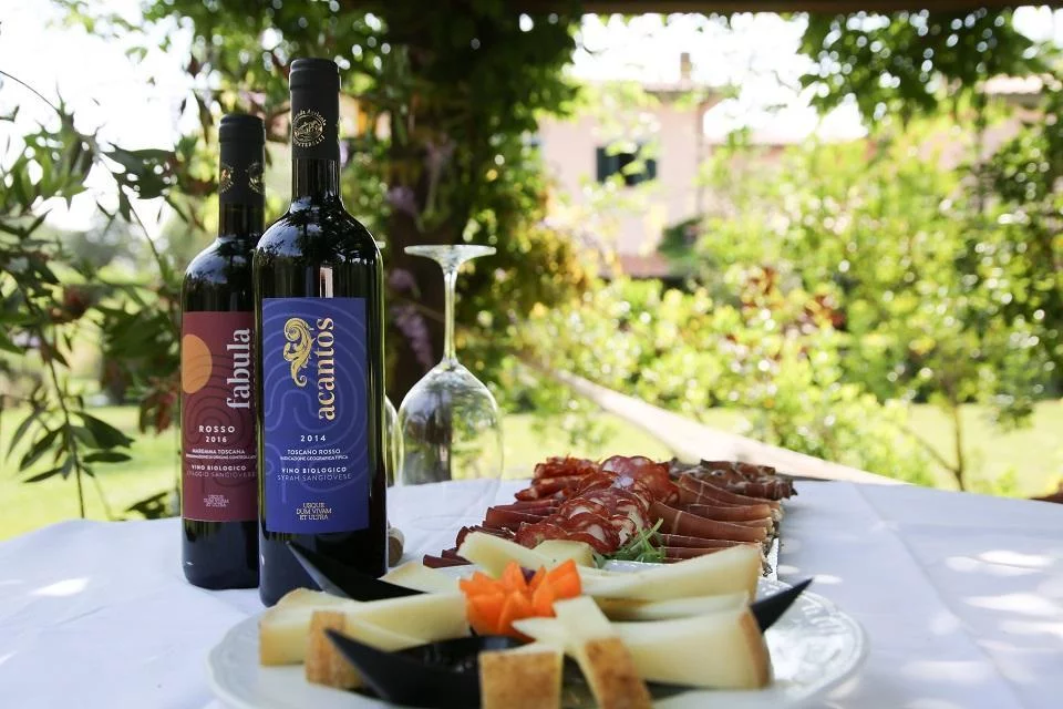 Proeflunch met biologische wijnen bij domein Montebelli in de Maremma — Gavorrano