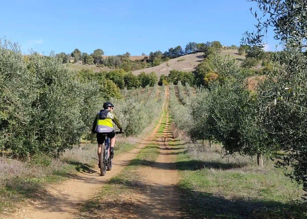 E-Bike-Tour mit Picknick und Verkostung von Naturwein in La Maliosa in der Maremma — Manciano