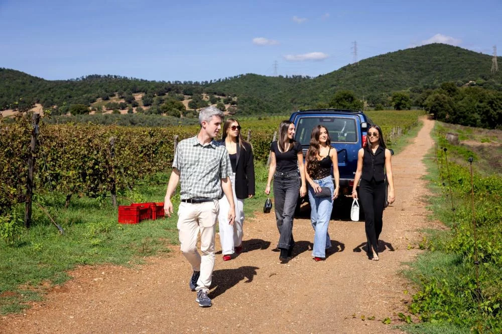 Landschaftserlebnis: Wein-Safari im 4x4-Fahrzeug und Weinverkostung auf der Tenuta Montauto — Manciano