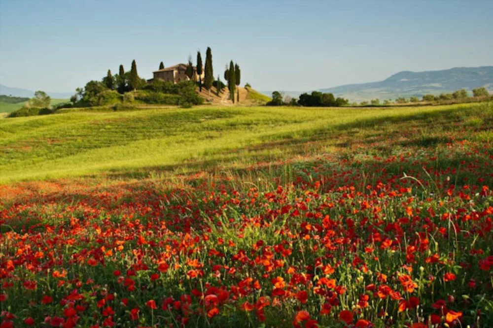 La valle d'Orcia e le cantine di Montalcino — Montalcino