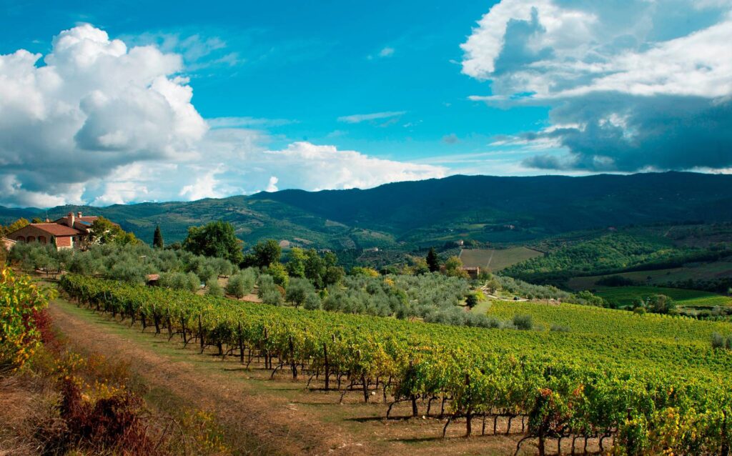 Le Cinciole — Panzano in Chianti