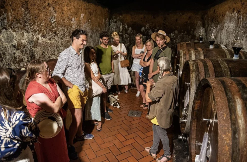 Sassotondo: degustacja wina w ekologicznej piwnicy Sassotondo w Maremmie — Sorano