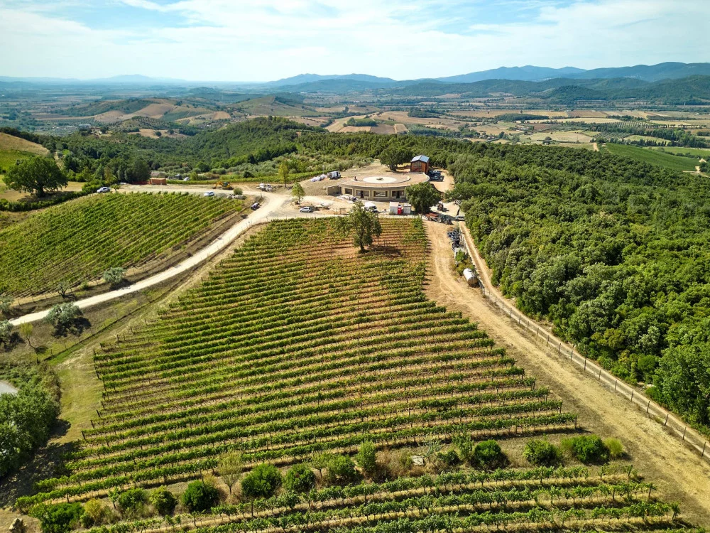 Die Farben des Weins: Entdeckungsbesichtigung und Verkostung bei Sequerciani in der Maremma — Gavorrano