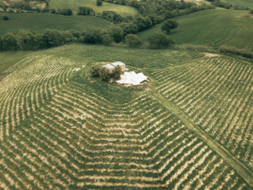 Piquenique ao pôr do sol no Skydeck com vista de 360° sobre as colinas toscanas na Fattoria la Maliosa — Manciano