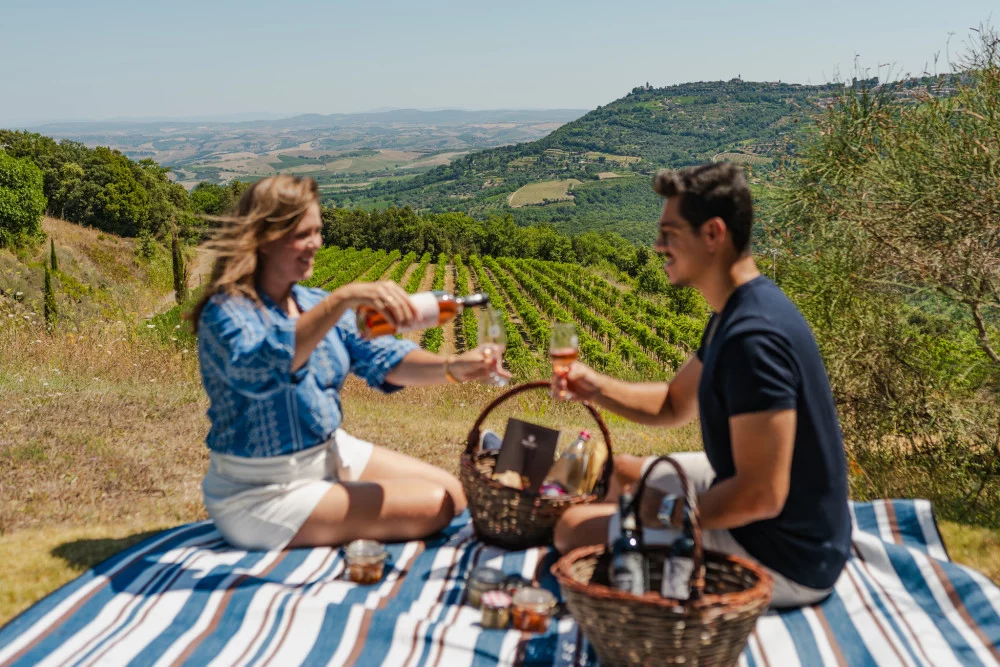 Picknick in de wijngaard met een fles wijn bij Tenuta Corte Pavone in Montalcino — Montalcino