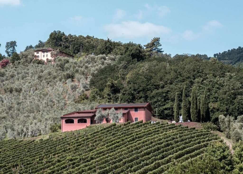 Tenuta Adamo — Lucca