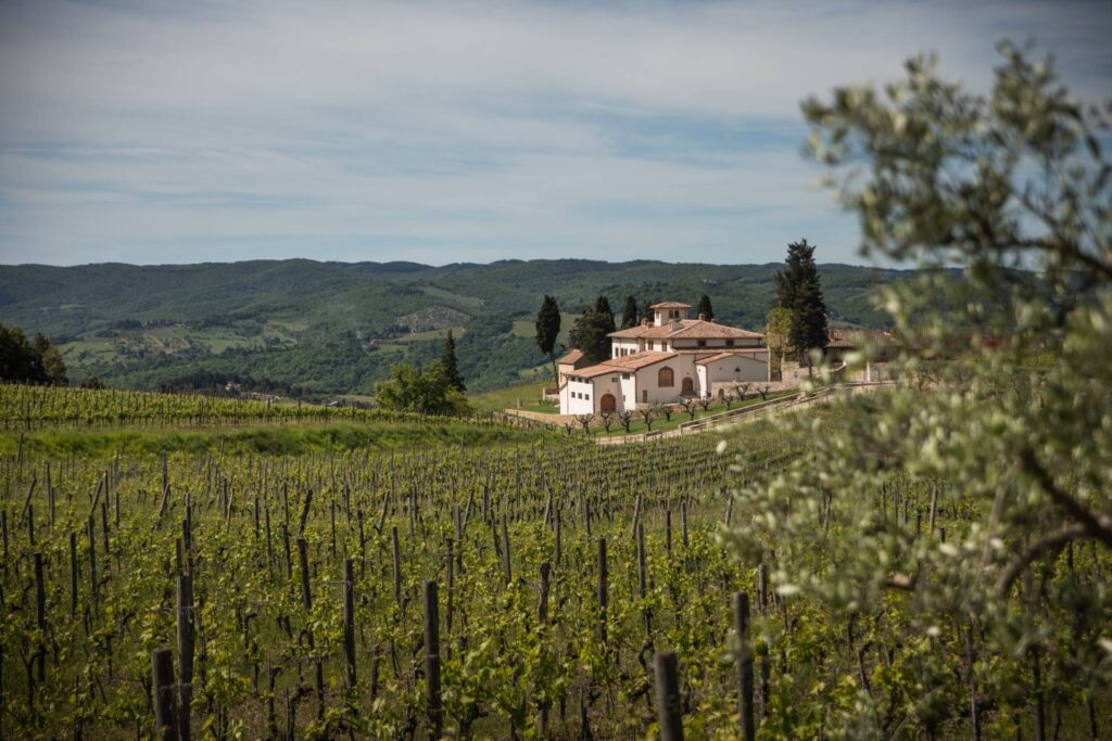Tenuta Casenuove — Panzano In Chianti