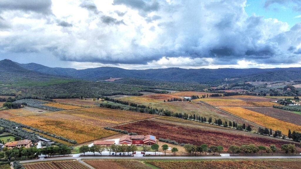 Tenuta Di Vaira — Bolgheri
