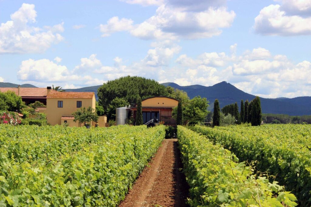 Terre Del Marchesato - Bolgheri — Castagneto Carducci