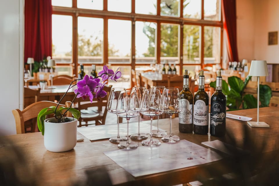 Degustazione di sei vini a Montalcino presso il dominio Corte Pavone — Montalcino