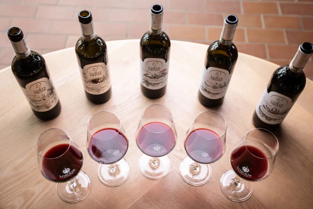 Visita a la bodega y degustación vertical de Brunello en Montalcino en Tenuta Corte Pavone — Montalcino
