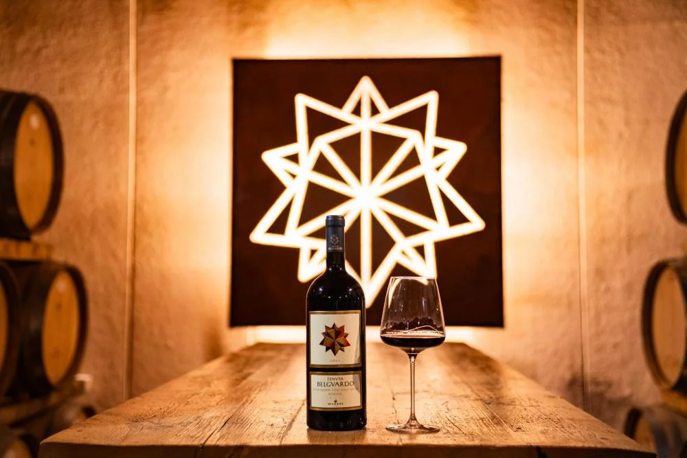 VIP private tour at Belguardo in the heart of the Tuscan Maremma — Magliano in Toscana