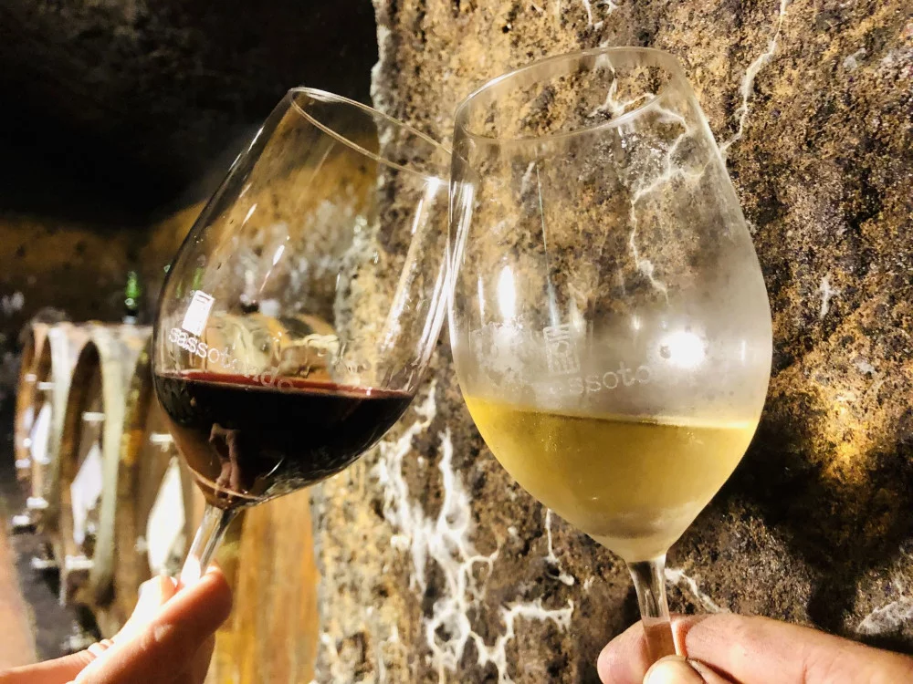 Volcanic Kaos wine experience w winnicy ekologicznej Sassotondo, w Maremmie — Sorano