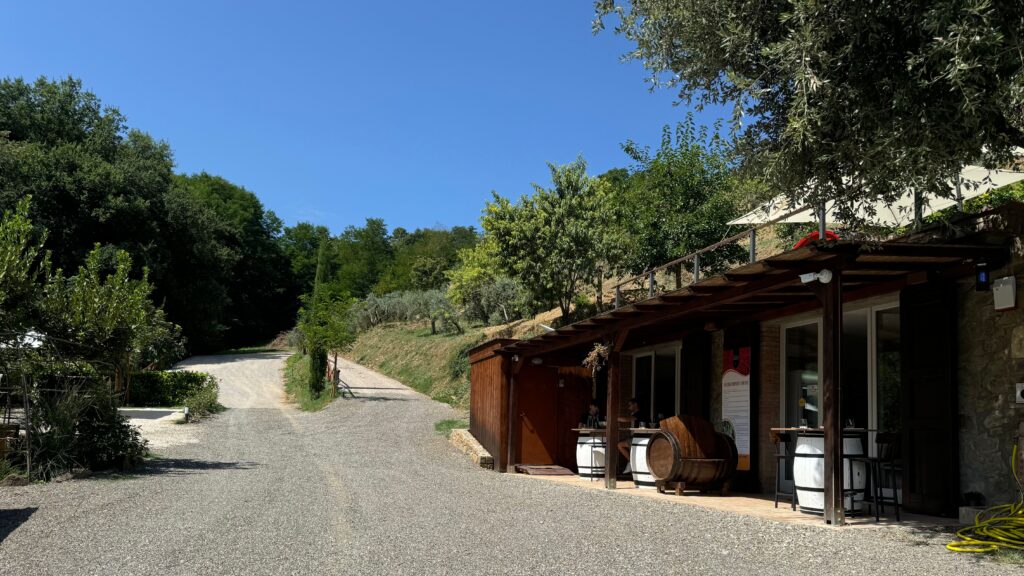 Pura Crocus — Montalcino