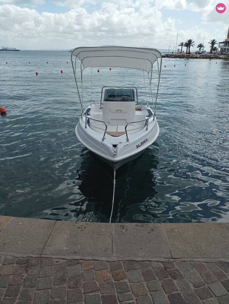 BLUEMAX 5,80MT CON MOTORE SUZUKY 40CV bez patentu w Porto Santo Stefano