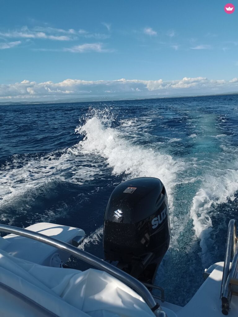 BlueMax open pro 19 bez patentu w Porto Santo Stefano